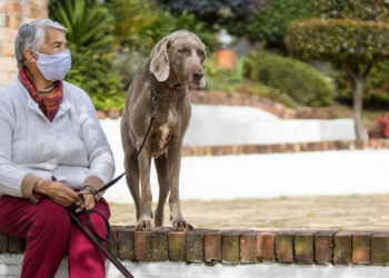 Perro mascota junto a su dueño. Foto: AFP.