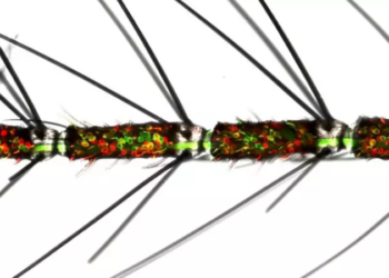 Una antena de mosquito hembra con neuronas olfativas, etiquetadas en rojo y verde. Las neuronas olfativas que expresan múltiples tipos de receptores olfativos están en amarillo. Foto: Europa Press.