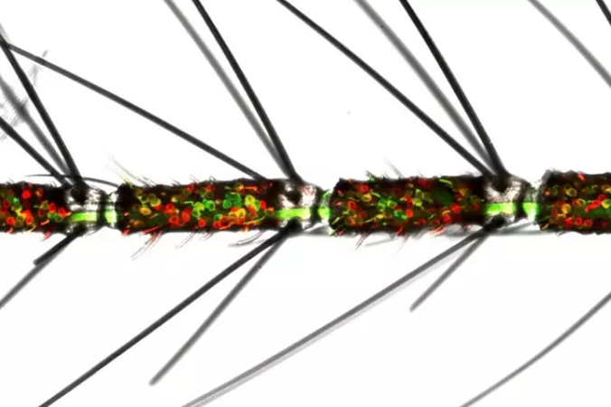 Una antena de mosquito hembra con neuronas olfativas, etiquetadas en rojo y verde. Las neuronas olfativas que expresan múltiples tipos de receptores olfativos están en amarillo. Foto: Europa Press.
