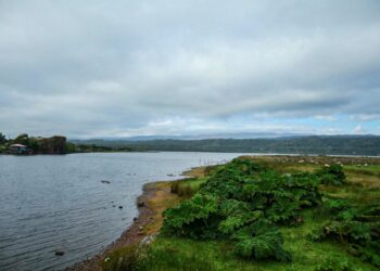 El Lago Huillinco, en la isla chilena de Chiloé. Foto: AFP.