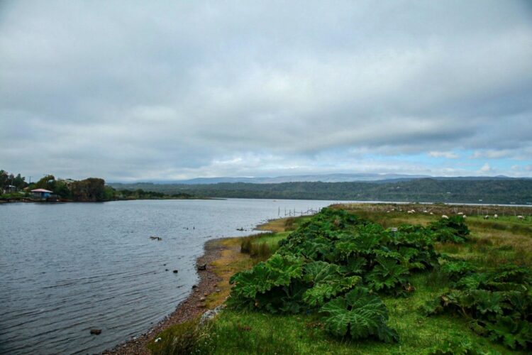 El Lago Huillinco, en la isla chilena de Chiloé. Foto: AFP.