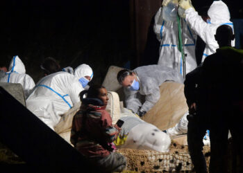 A pesar de una operación inédita de salvamento de la beluga, se le practicó la eutanasia. Foto: AFP.