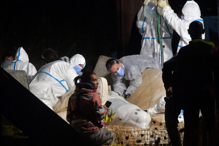 A pesar de una operación inédita de salvamento de la beluga, se le practicó la eutanasia. Foto: AFP.