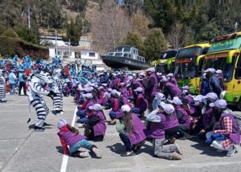 'Encébrate' es la actividad de encuentro de voluntariados. Foto: Secretaría Municipal de Culturas.