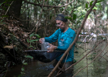 La investigadora Lucía Rapp Py-Daniel, del Instituto de Investigaciones de la Amazonía de Brasil, durante una misión en la selva cerca del río Manicoré. Foto: AFP.