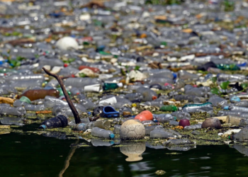 La contaminación de las aguas del Cerrón Grande en Potonico, El Salvador. Foto: AFP.