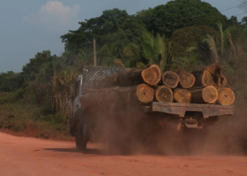 Un camión transporta madera por la carretera BR-230 (Transamazónica) en Manicoré, estado de Amazonas, Brasil. Foto: AFP.