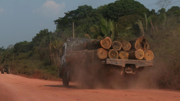 Un camión transporta madera por la carretera BR-230 (Transamazónica) en Manicoré, estado de Amazonas, Brasil. Foto: AFP.