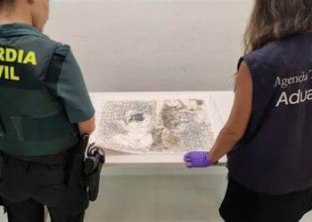 Personal de la Guardia Civil y la Agencia Tributaria española confiscaron el dibujo de Picasso. Foto: AFP.