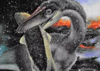 Con un flujo de lava en la distancia, un dinosaurio terópodo con plumas primitivas se lleva a una víctima de mamífero durante un invierno volcánico nevado causado por erupciones masivas durante la Extinción del Triásico-Jurásico. Foto: Larry Felder.