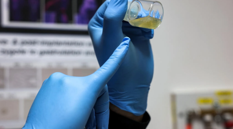 El doctor Jacob Hanna, especialista en genética molecular del Instituto de Ciencia Weizmann de Israel, muestra un vial con embriones sintéticos de ratón de cinco días desarrollados fuera del útero. Foto: AFP.