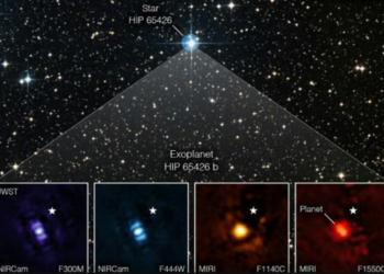Una imagen del telescopio espacial James Webb de un exoplaneta. La imagen muestra al planeta HIP 65426 b en diferentes bandas de luz infrarroja. Foto: AFP.