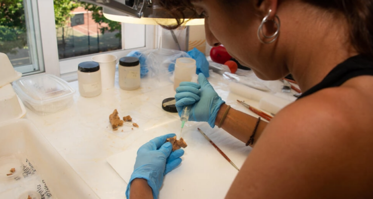 La integrante del Equipo de Investigación de Atapuerca Elena Moreno restaura un hueso facial de un homínido en los laboratorios de la Residencia Gil de Siloe de Burgos. Foto: AFP.