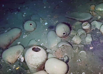 Parte del tesoro del galeón San José, encontrado en Colombia. Foto: AFP.
