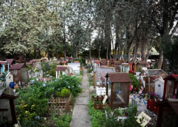 Imagen de 'Casa Rosa', el cementerio de mascotas más antiguo de Italia. Foto: AFP.