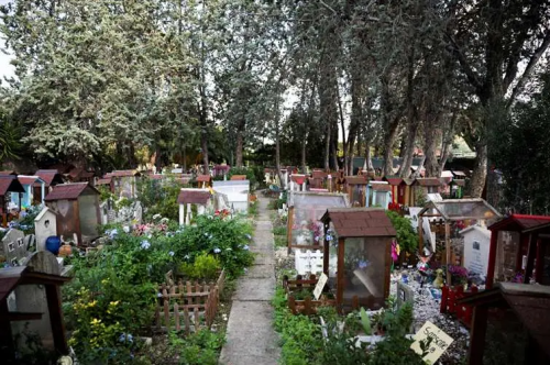 Imagen de 'Casa Rosa', el cementerio de mascotas más antiguo de Italia. Foto: AFP.