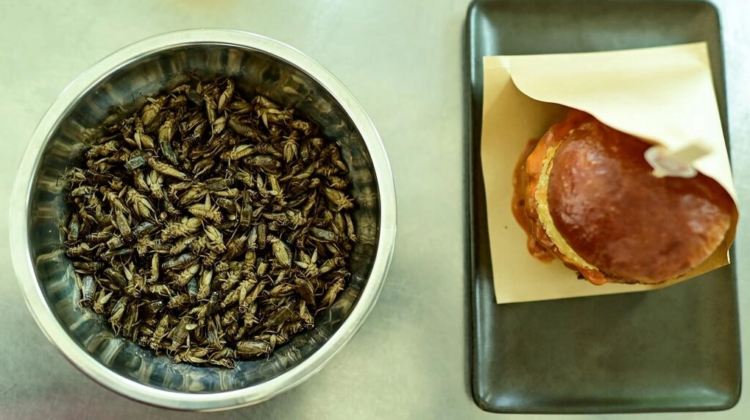 Un plato de grillos y una hamburguesa elaborada con grillos en un restaurante de Bangkok. Foto: AFP.