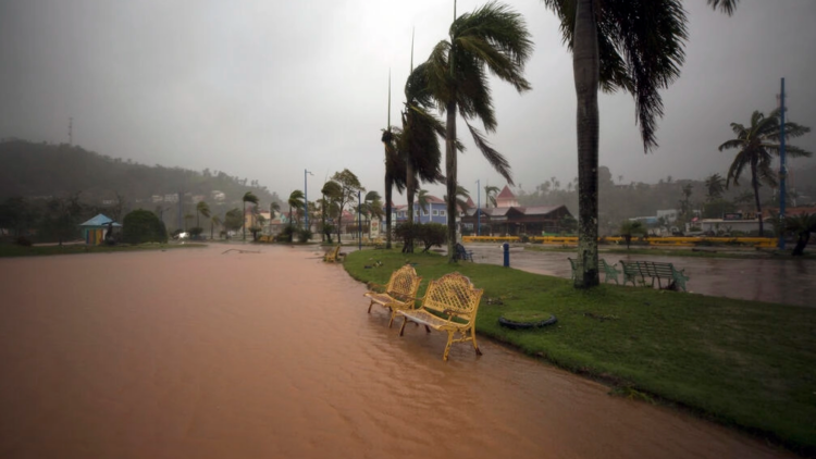 Vista de un parque en Samana, República Dominicana, el 19 de septiembre, tras el pasaje de Fiona. Foto: AFP.