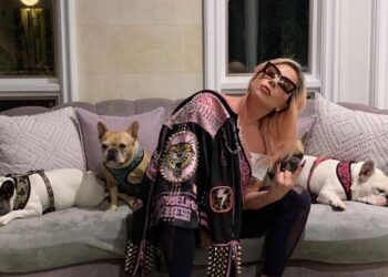 La cantante Lady Gaga, junto a sus tres mascotas. Foto: AFP.