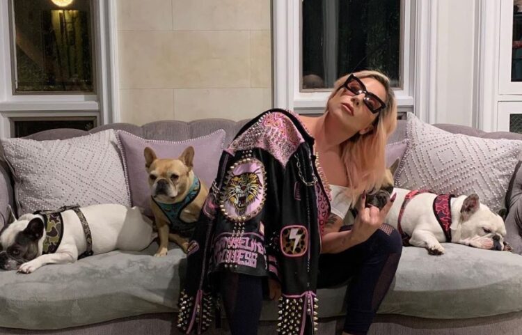 La cantante Lady Gaga, junto a sus tres mascotas. Foto: AFP.