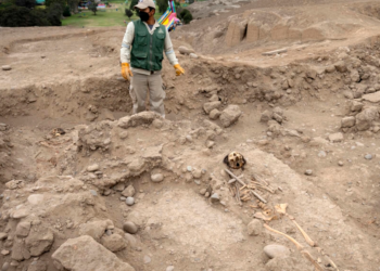 Un arqueólogo peruano trabaja en un cementerio prehispánico de hace 1.000 años hallado en el zoo de Lima. Foto: AFP.