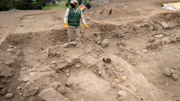Un arqueólogo peruano trabaja en un cementerio prehispánico de hace 1.000 años hallado en el zoo de Lima. Foto: AFP.