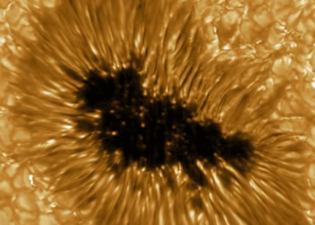 Mancha solar en HD. Foto: Gregor Solar Telescope.