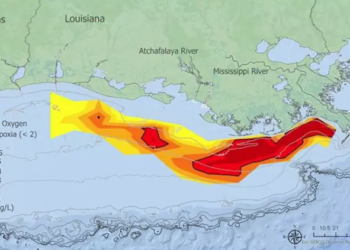 Amplitud de la zona de hipoxia en el Golfo de México. Foto: NOAA.