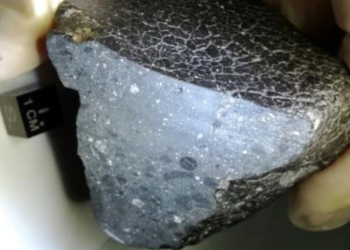 Corte transversal del meteorito marciano NWA 7034, conocido como 'Belleza Negra', descubierto en el desierto del Sáhara en 2011. Foto: NASA.