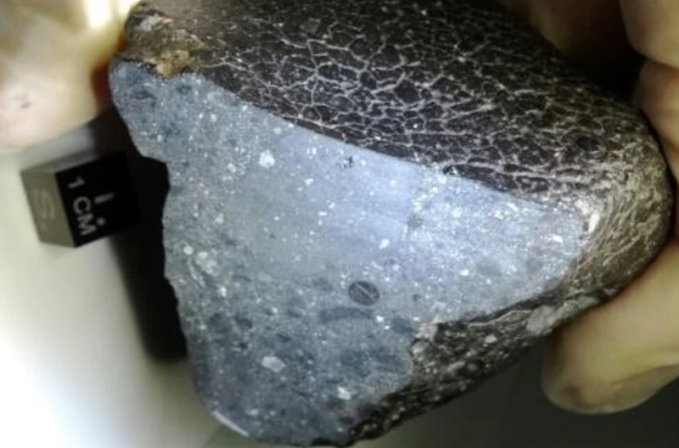 Corte transversal del meteorito marciano NWA 7034, conocido como 'Belleza Negra', descubierto en el desierto del Sáhara en 2011. Foto: NASA.