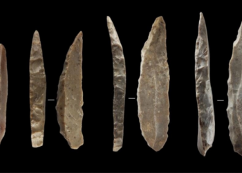 Una imagen proporcionada por Igor Djakovic el 11 de octubre de 2022 muestra varios cuchillos de piedra supuestamente fabricados por algunos de los últimos neandertales en Francia y el norte de España, que se cree coexistieron con el homo sapiens. Foto: AFP.