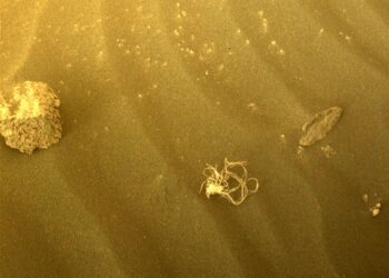 Un objeto enredado descubierto por el rover Perseverance de la NASA situado en Marte ha intrigado a los observadores del espacio. Foto: AFP.