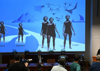 La paleogenética es explicada por la integrante del Comité del premio Nobel de Medicina, Anna Wedell, el 3 de octubre de 2022 en el Instituto Karolinska de Estocolmo. Foto: AFP.