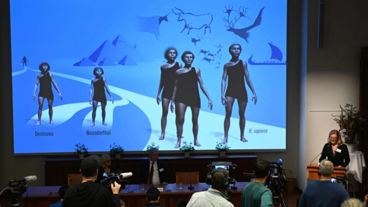 La paleogenética es explicada por la integrante del Comité del premio Nobel de Medicina, Anna Wedell, el 3 de octubre de 2022 en el Instituto Karolinska de Estocolmo. Foto: AFP.