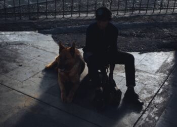 Una escena de 'El ladrón de perros', producción filmada en La Paz. Foto: 'El ladrón de los perros'.