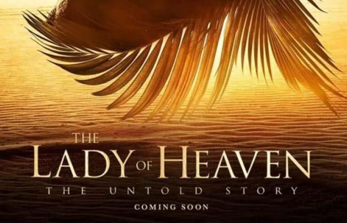 Afiche de la película británica 'La dama del cielo'. Foto: news.eseuro.com.