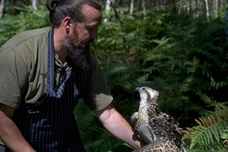 Un hombre que genera ingresos con el cuidado de aves silvestres. Foto: AFP.