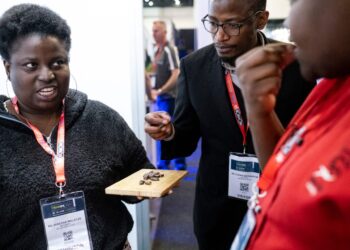 Degustación de un platillo nutritivo de orugas, en Sudáfrica. Foto: AFP.
