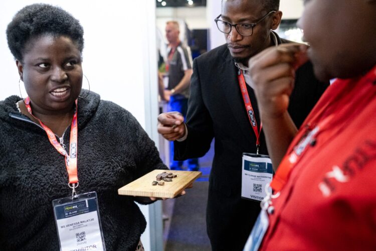 Degustación de un platillo nutritivo de orugas, en Sudáfrica. Foto: AFP.