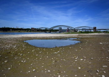 Un charco de agua en medio del lecho casi seco del río Rin en Colonia, Alemania, el 18 de julio de 2022. Foto: AFP.