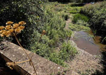 Un charco de agua y la orilla seca de un río se ven desde un puente cerca de Somerford Keynes. Foto: AFP.