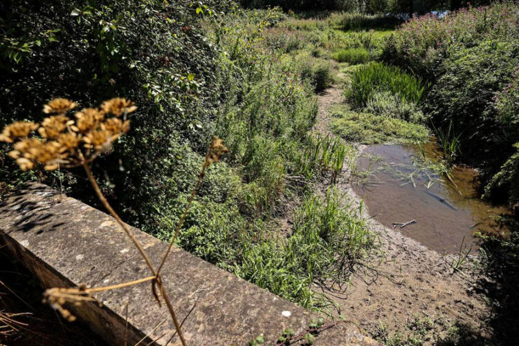 Un charco de agua y la orilla seca de un río se ven desde un puente cerca de Somerford Keynes. Foto: AFP.