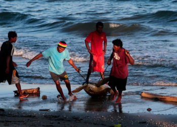 Pescadores extraen tortugas de la costa caribeña en Bilwi, Nicaragua. Foto: AFP.