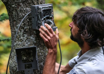 El coordinador de la red de seguimiento del oso pardo, Pierre-Luigi Lemaitre, abre una caja para comprobar una cámara fotográfica, en los senderos de montaña del sector de Melles, en los Pirineos franceses. Foto: AFP.