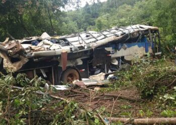 Diez muertos y 21 heridos al despeñarse un autobús en Brasil