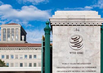 La OMC salió de su inacción pero tiene abundantes tareas pendientes
