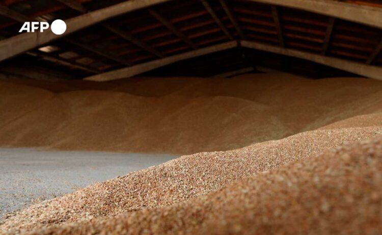 cereales_ucrania.jpg