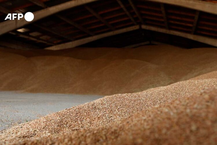 Ucrania espera realizar primeras exportaciones de cereales a partir de ‘esta semana’