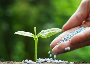 Fertilizantes bolivianos para la seguridad alimentaria