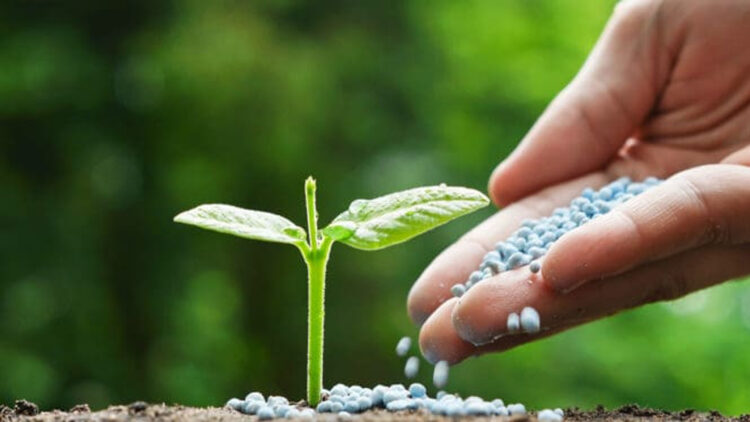 Fertilizantes bolivianos para la seguridad alimentaria